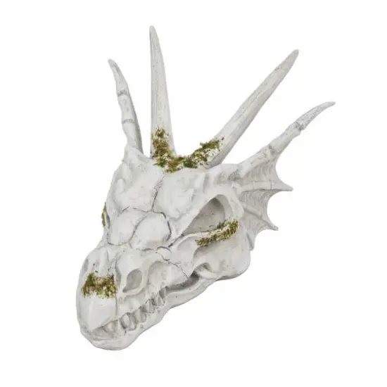 11" Dragon Skull Tabletop D&eacute;cor by Ashland&reg; {3}