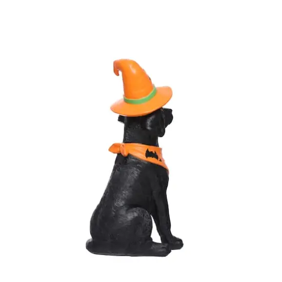 14" Sitting Dog with Witch Hat Tabletop D&eacute;cor by Ashland&reg; {4}