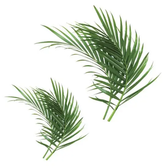 RoomMates Palm Leaf Peel & Stick Giant Wall Decals {1}