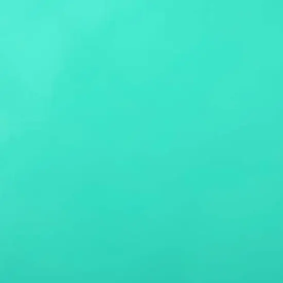 ORACAL&reg; 651 Permanent Adhesive Vinyl Mint 055 {1}