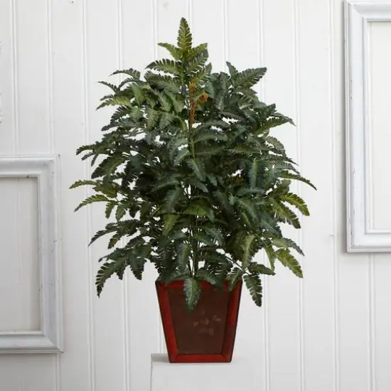 3ft. Bracken Fern in Wooden Planter {4}