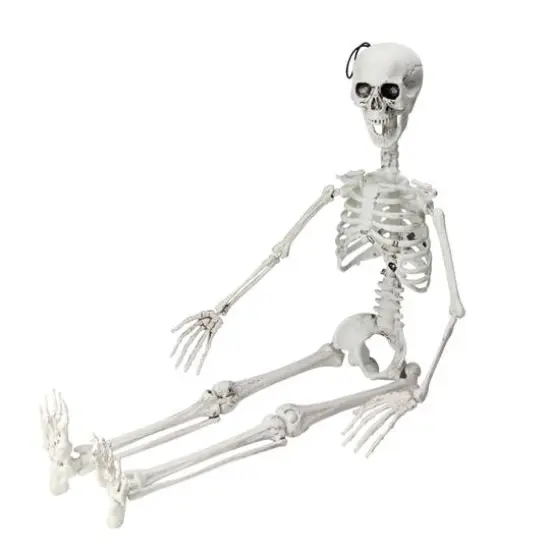 35" Jointed Hanging Skeleton Halloween Decoration {1}