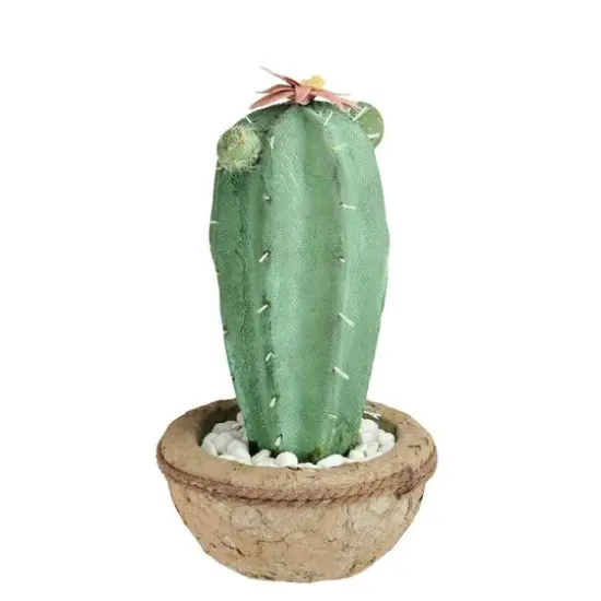 13.75" Southwestern Style Potted Cactus with Flowers {3}