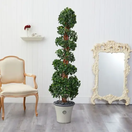 5.6ft. English Ivy Spiral Topiary in Decorative Planter {4}