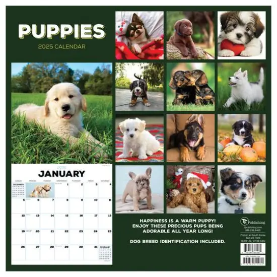 TF Publishing 2025 Puppies Wall Calendar {3}