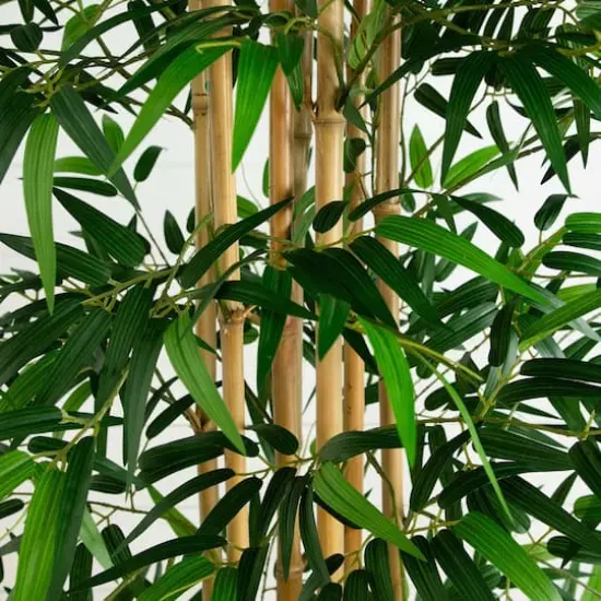 9ft. Potted Bamboo Tree with Real Bamboo Trunks {4}