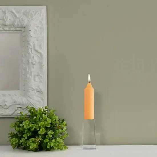 Root Candles 5" Unscented Timberline&trade; Collenette Taper Candles, 8ct. Mandarin {4}