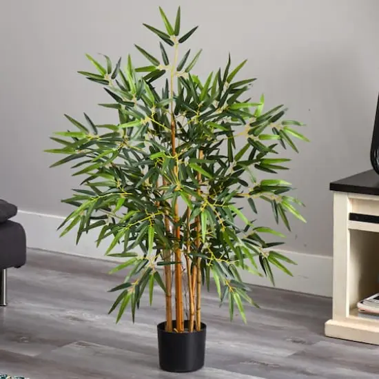 3ft. Potted Bambusa Bamboo Tree {6}