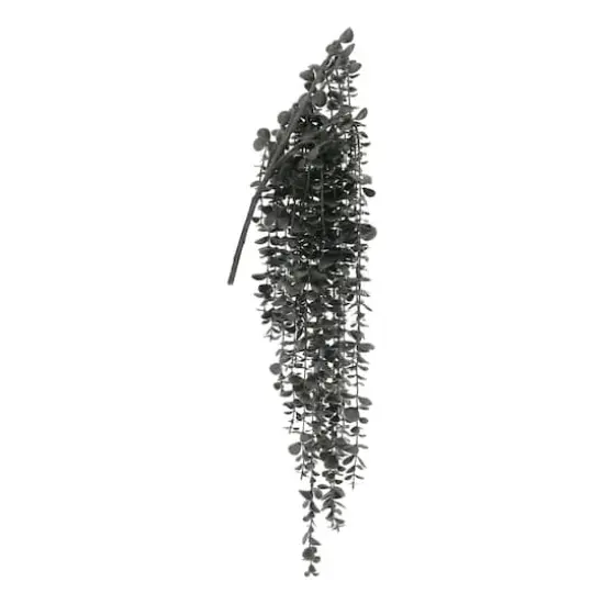 26" Black Dripping Eucalyptus Bush by Ashland&reg; {1}