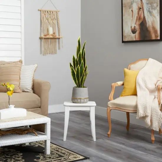 3ft. Snake Plant in Stoneware Planter with Gold Trim {5}