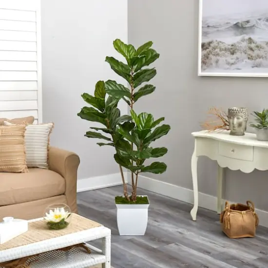 5.5ft. UV Resistant Fiddle Leaf Tree in White Metal Planter {5}
