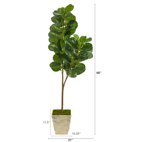 5.5ft. Fiddle leaf Fig Artificial Tree in Country White Planter {3}