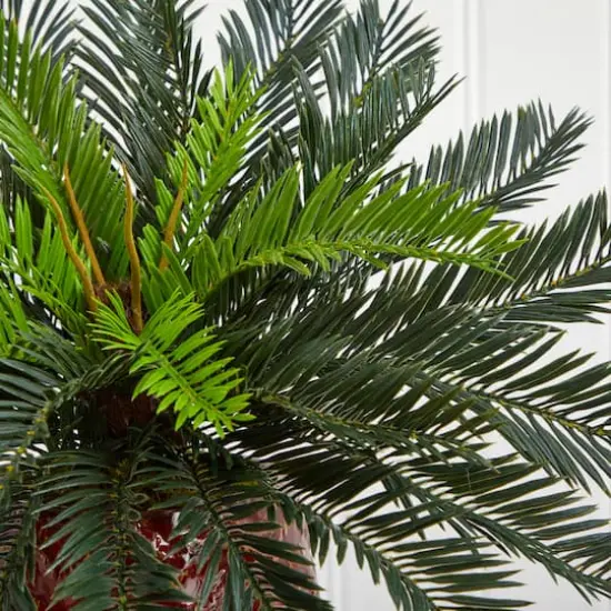 15'' Cycas Palm in Red Ceramic Planter {5}