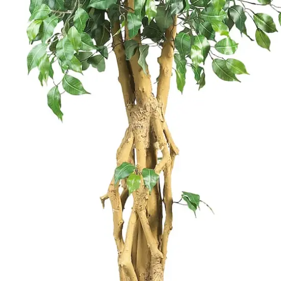 6ft. Potted Palace Style Ficus Tree {4}