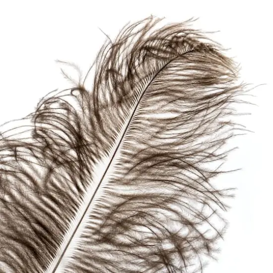 John Bead 11"-13" Ostrich Drab Feather Natural {3}