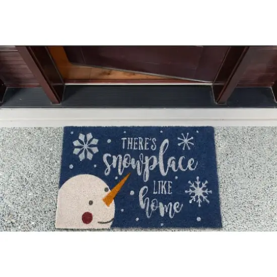 DII&reg; Snowplace Like Home Doormat {8}
