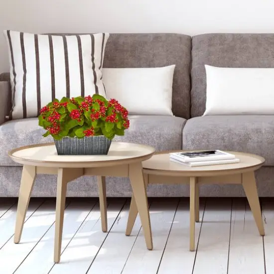 14in. Red Kalanchoe Plant in Black Embossed Planter {3}