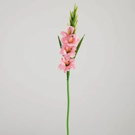 45" Pink Gladiolus Flower Stems, 3ct. {7}