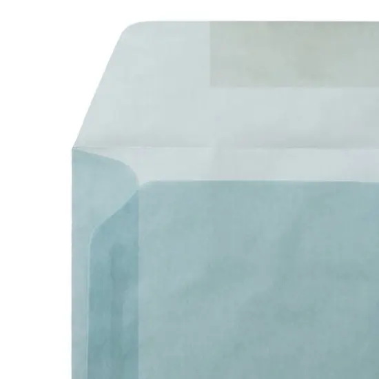 JAM Paper 9" x 12" Booklet Vellum Envelopes, 25ct. Ocean Blue {6}