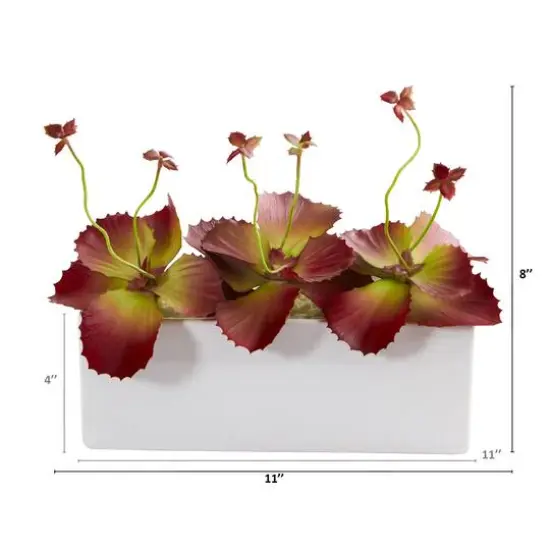 11" Succulent Plant in White Planter {3}