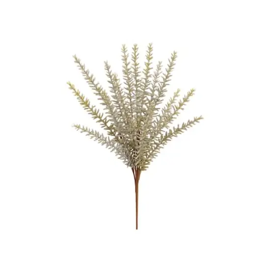 Green & Gray Rosemary Bush {1}