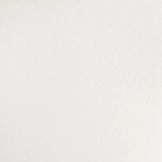 Winsor & Newton&reg; Cotman&reg; Watercolor, 8mL Chinese White {3}