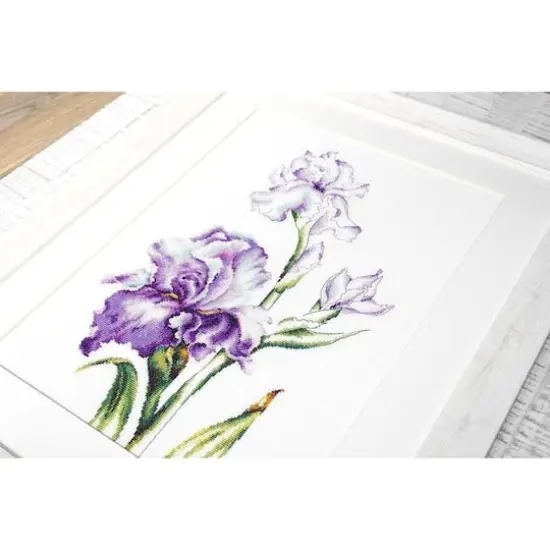 Luca-s Irises Counted Cross Stitch Kit {7}