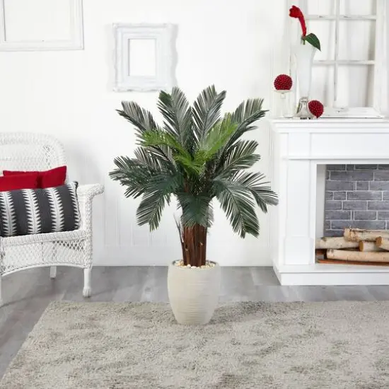 4.5ft. Cycas Tree in Oval Planter {6}