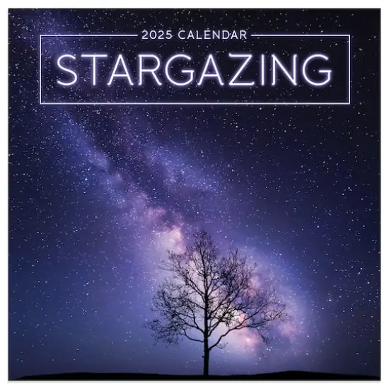 TF Publishing 2025 Stargazing Mini Calendar {1}