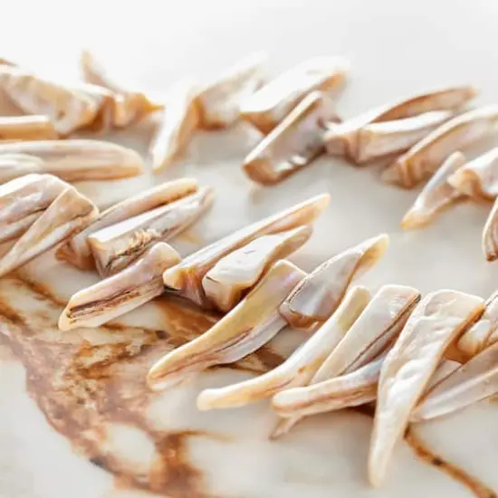 Tan Shell Stick Beads, 28mm by Bead Landing&trade; {3}