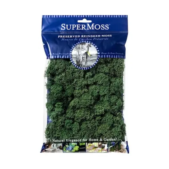 SuperMoss&reg; Basil Reindeer Moss {5}