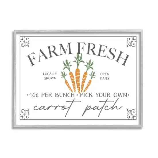 Stupell Industries Farm Fresh Carrot Patch Seasonal Springtime Vegetables Framed Giclee Art Gray {1}