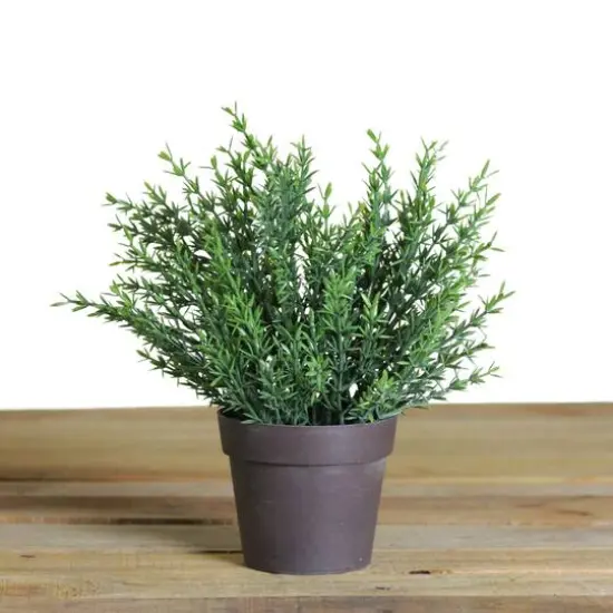 9.5" Forever Green Grass Plant in Brown Pot {3}