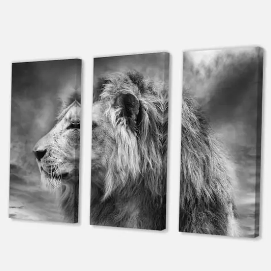 Designart - Grey Wild African Lion - Animal Canvas Art Print {4}