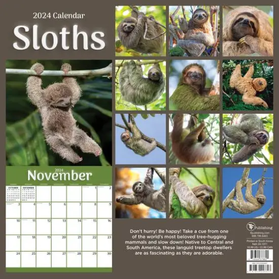 TF Publishing 2024 Sloths Wall Calendar {3}