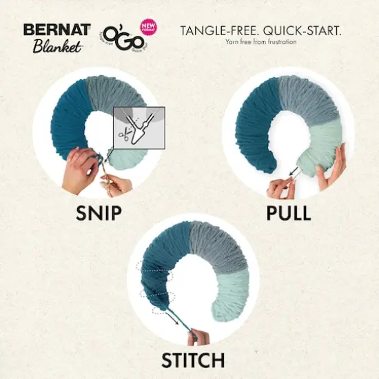 Bernat&reg; Blanket O'Go&trade; Yarn Purple Plum {7}