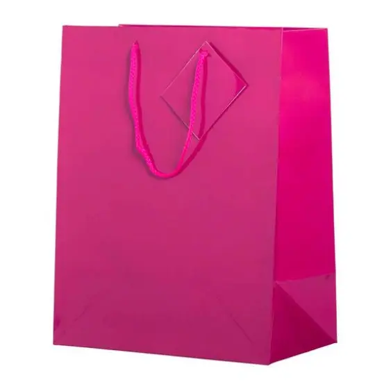 JAM Paper Large Glossy Gift Bags with Rope Handles, 3ct. Hot Pink {5}