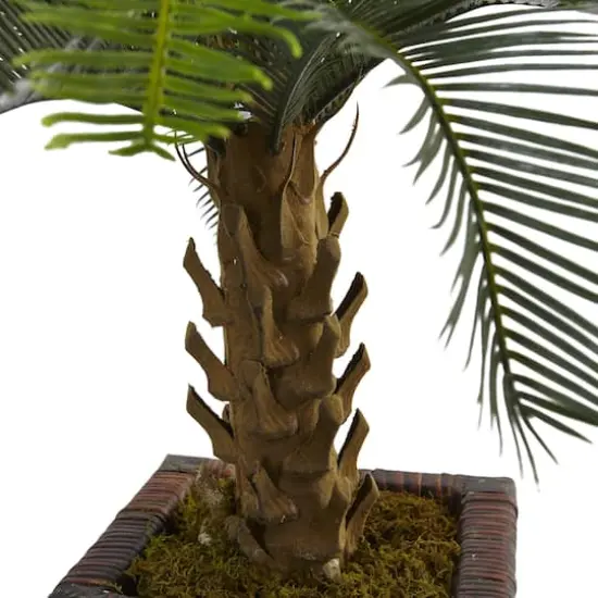 3ft. Cycas Palm Tree in Wood Planter {3}