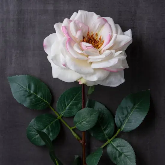 Garden Blooms Hydrangea Stem by Ashland&reg; Cream {3}