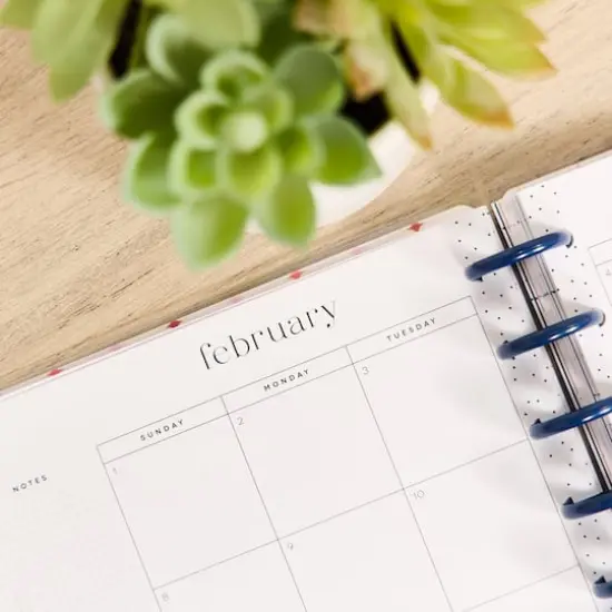 The Classic Happy Planner&reg; Pop Splash {6}