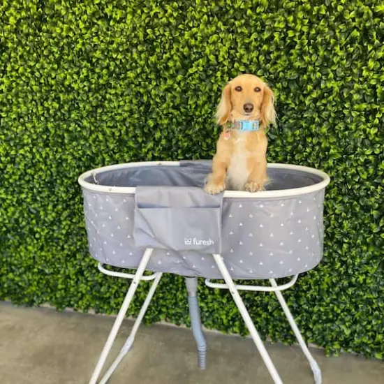 20" Cancun Style Plant Living Wall Panels, 4ct. {4}