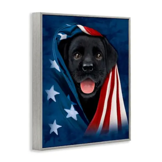 Stupell Industries Labrador & American Flag Framed Giclee Art Gray {4}