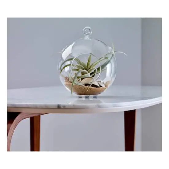 Scotch&trade; Round Self-Adhesive Bumpers, Clear {8}