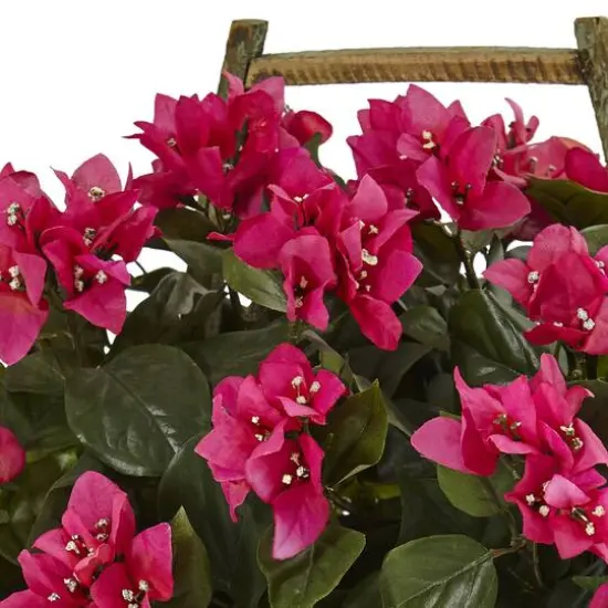 18" Pink Bougainvillea In Rustic Wood Planter {3}
