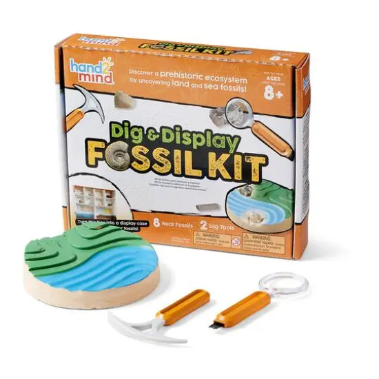 hand2mind&reg; Dig & Display Fossil Kit {1}