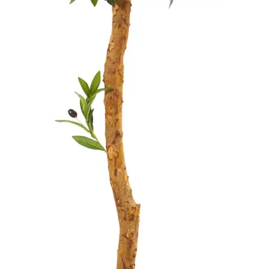 5.5ft. Potted Olive Topiary Tree {4}