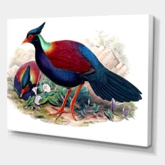 Designart - Vintage Birds In The Wild II - Traditional Canvas Wall Art Print {1}