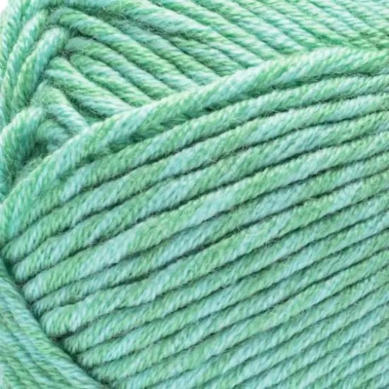 Caron&reg; Simply Me Montage&trade; Yarn Jasper {3}