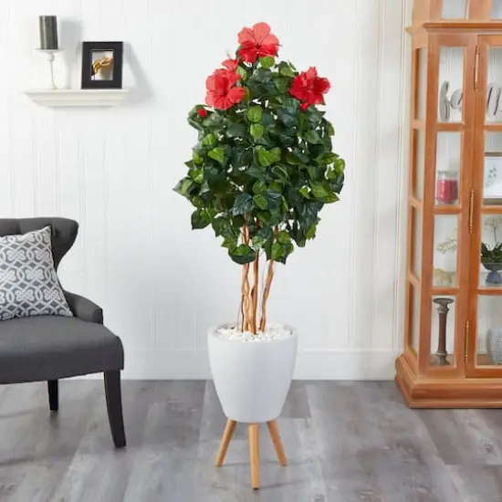 6ft. Hibiscus Tree in White Planter with Stand {4}