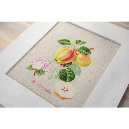 Luca-s The Dutch Codlin Counted Cross Stitch Kit {10}